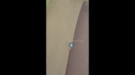 Portrait birds eye view of a dog keeping birds away from the tractor while his master ploughs the field