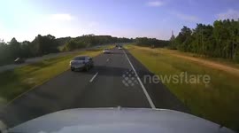 Road Crossing Turtle Causes Truck Pile Up In Walton County, FL, USA