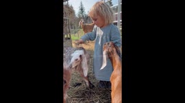 This 2-year-old girl lives on a farm and absolutely LOVES it
