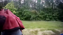 Lightning Strikes Backyard Trees in Collins