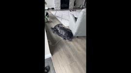 I Wonder Where Winston Is