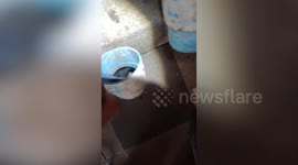 Repairmen saves newborn kitten stuck under drain pipe