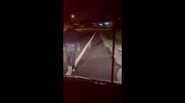 Helping A Baby Deer Away From The Road