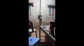 Horrifying scene as swarm of flying ants invade resident's home