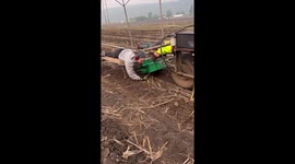 Ever Heard Of Asparagus Picking?
