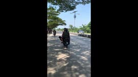 Indonesia man and his dog ride a motorbike through on the pantura street