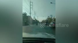 Buffalo herd causes traffic chaos while sauntering along road in Thailand