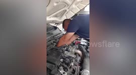 Mechanic pulls out kitten stuck in car engine