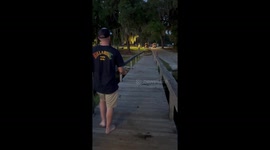 Owl Accepts Fish Offering