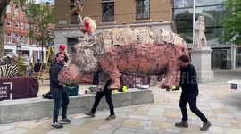 Chelsea in Bloom flower festival prepared in London