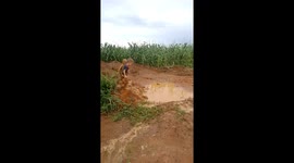 Boys Jump Into Mud Puddle