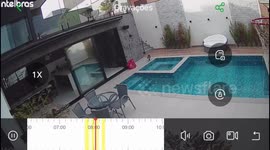 My Kitty Who Learned to Dive