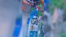 Pet fish escapes tank but lands in bowl of boiling stew at restaurant in China