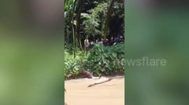 Mother and daughter rescued from crocodile attack in Indonesia