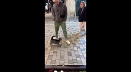 Surprise paw-ty: hilarious cat vs. dog encounter leaves owner in shock!