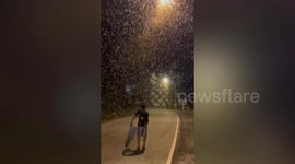 Army of flying insects swarm road at night in Thailand