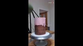 Artist's Fairy-themed delight shows that it's possible to escape reality through cakes!