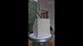 Cake artist takes her creativity to the next level by making a gravity-defying delight