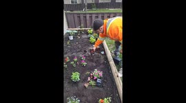 Man's Gardening Tip