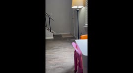 Girl Gets A Puppy