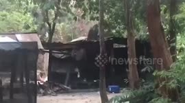 Angry wild elephant destroys wooden shed while finding food in Thailand