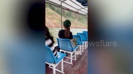 Funny pet dog ‘pretends to be human tourist' sitting on chair at ferry