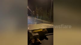 Wild snake slithers on moving car’s bonnet while couple drive home