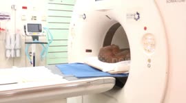 Hospital CT scans reveal secrets of ancient mummy caskets in Israel