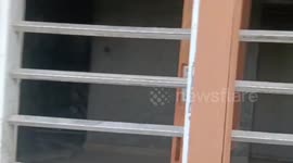 Leopard rampage Two injured after big cat strays into home in northern India