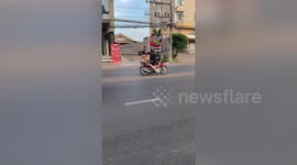 Pet dog wears red vest riding pillion with owner on motorcycle