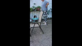 Girl Gets Stuck Behind Bars