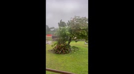Wind in Guam ahead of Super Typhoon Mawar.