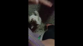 He don't want to touch him, defending widely without any hesitation