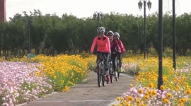 Rural Low-carbon Racing In Lianyungang, Jiangsu, China