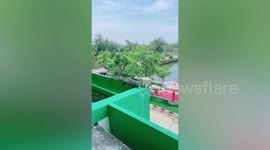 Wild monitor lizard refuses to leave school balcony ledge before leaping two storeys down unscathed