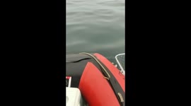 Unexpected catch: Russian fishermen reel in contraband Japanese whiskey instead of salmon