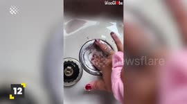Cleaning Hacks that will change your life