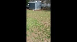 Where’s Max?