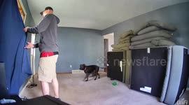 Dog Helpfully Fans Away Fart