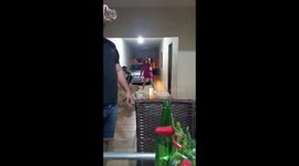 Dog A Little Too Excited To See Her