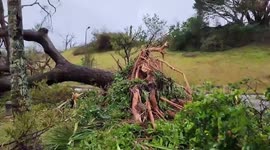Typhoon Mawar leaves damage after slamming island with ferocious winds