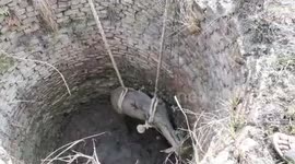 Firefighters rescue trapped nilgai by hauling it out of well in northern India