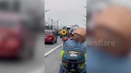 Cute pet cat wears sunflower headband and pink face mask while riding motorcycle with owner