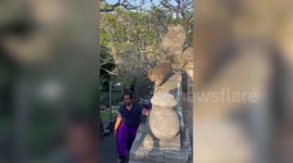 Monkey steals tourist's glasses before giving them back in return for bread