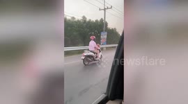 Pet dog rides scooter with owner on windy day