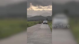 Long queue of ducks march back to farm on one side of road