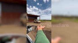 Giraffe eats snacks from tourist’s hand at safari park in England