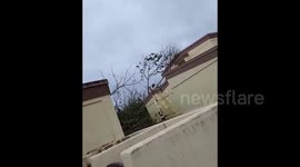 Guam: Typhoon Mawar Leaves Damage After Slamming Island With Ferocious Winds 5