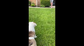 Children are delighted to an unexpected puppy surprise by the parents