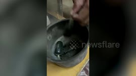 Custom officials seize gold worth $ 50,859 from man in southern India